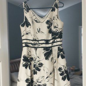 Dress Barn Size 10 floral dress